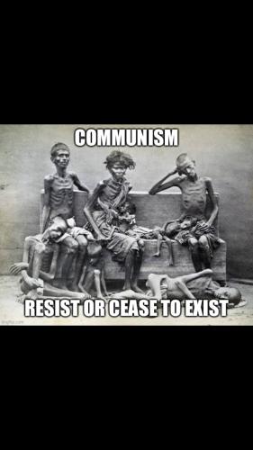 Screenshot_20211018-154341_Wimkin Uncensored