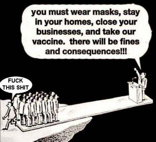 scamdemic37