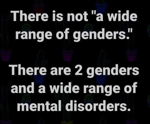 17:59:41 GMT-0600 (CST).image