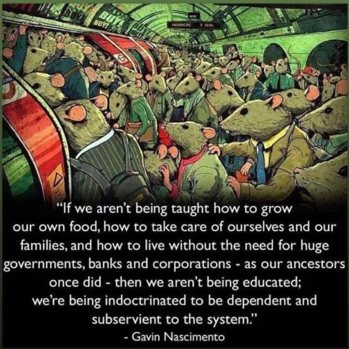 17:14:30 GMT-0600 (CST)