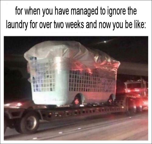 for when you have managed to ignored the laundry for over two weeks and now you be like