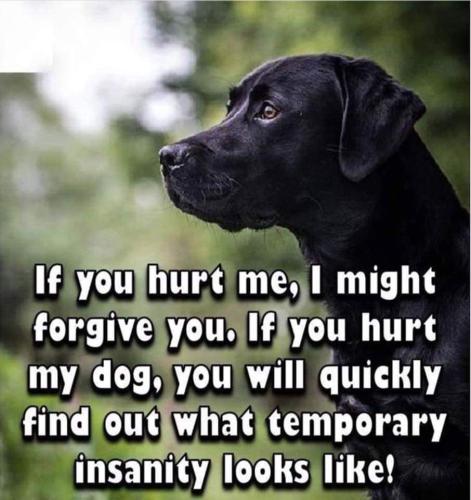 FB_IMG_1640960838080