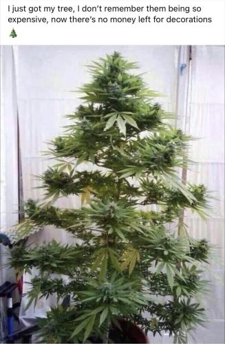 01:12:50 GMT-0800 (PST).image