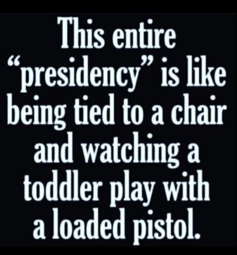 image_1638554644.045