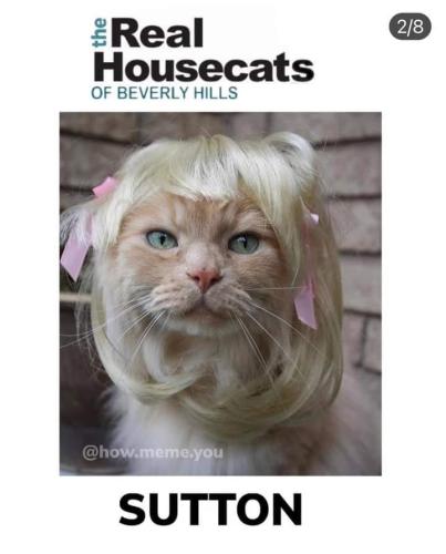 FB_IMG_1638806414881