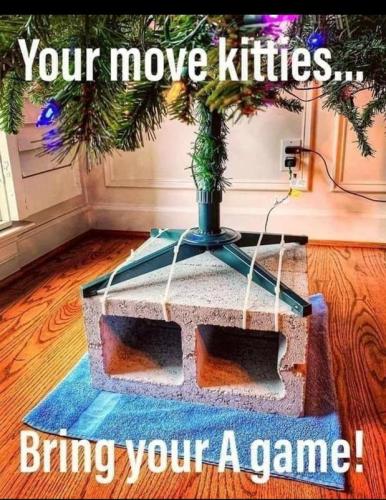 cat tree