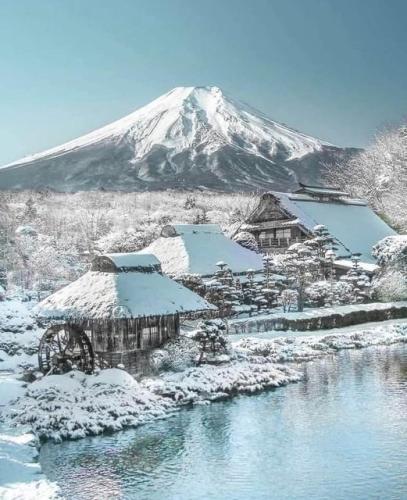 263443020_455001539300427_1320912745776071302_n