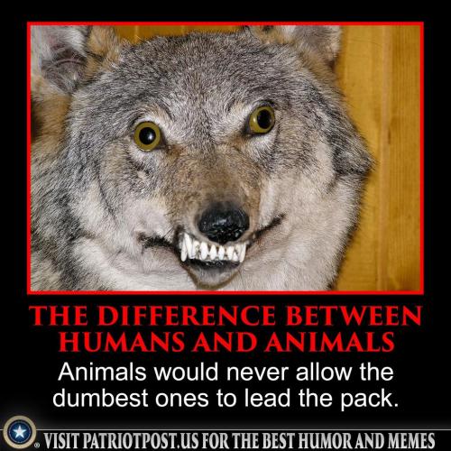 269876603_10158651082140914_84251983955278747_n