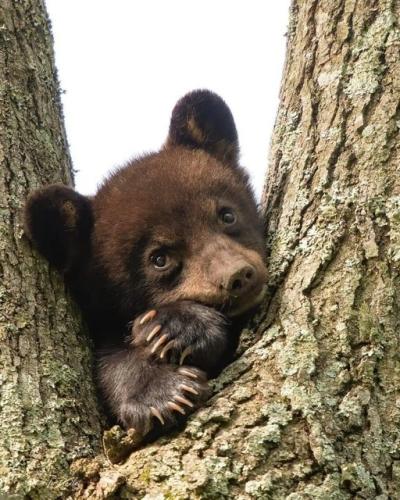 263937030_278050644367059_350025504925585411_n