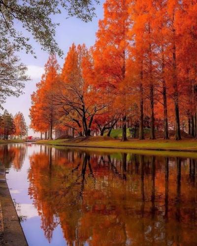 265505640_473622937474718_5858684286241468397_n