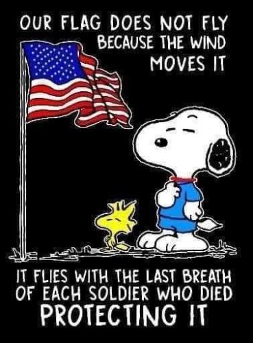 FB_IMG_1638625221891