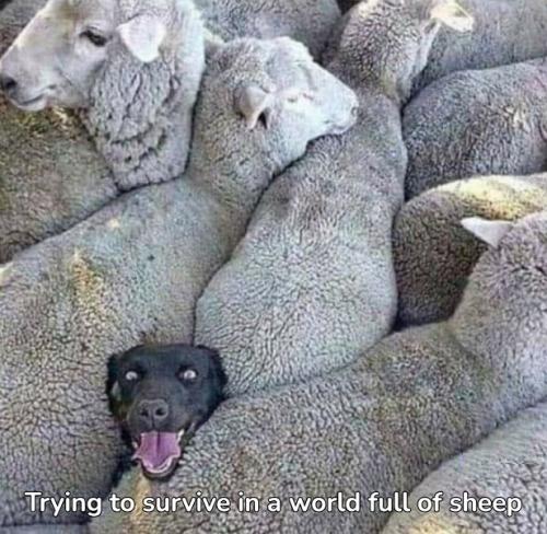 e0a1104c2d741dc78162066045bcbb27