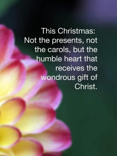 10:04:47 GMT-0500 (EST)