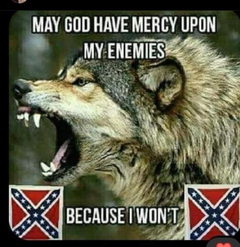 FB_IMG_1639246711045