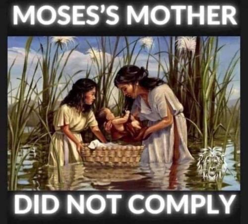 267979582_2093641400792535_987036119108427718_n