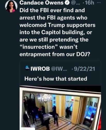 candace owens28