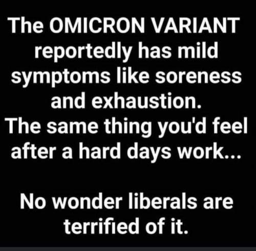 FB_IMG_1638646373319