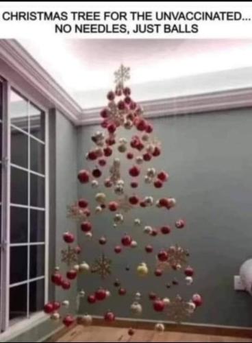 FB_IMG_1639192276415