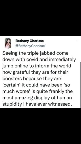 Screenshot_20211216-174557_Wimkin Uncensored