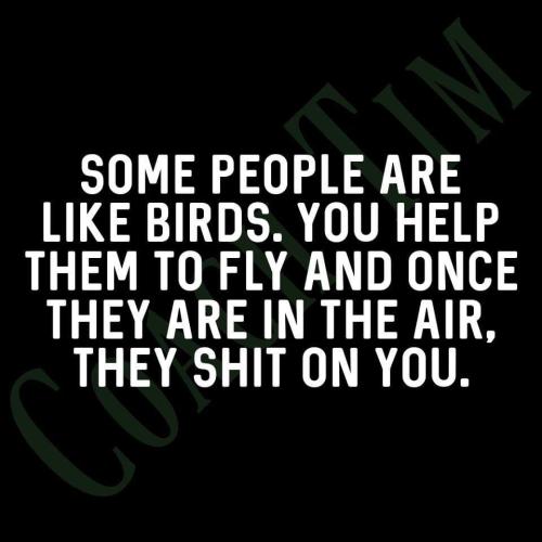 FB_IMG_1638749311660