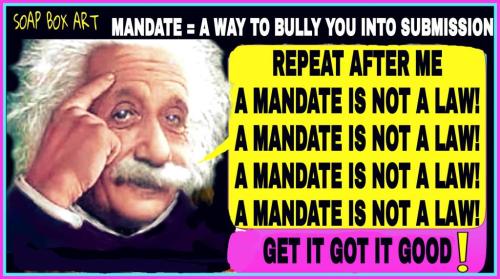 mandate einstein
