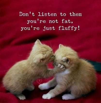 FB_IMG_1639025482785