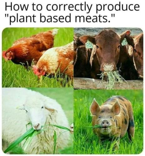 FB_IMG_1638944279124