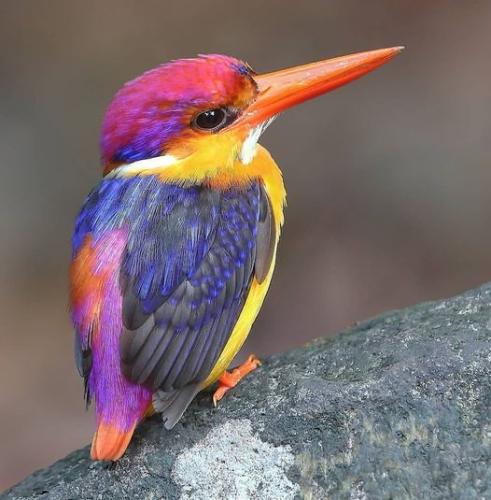 265570255_472218827615129_5981869782570138231_n