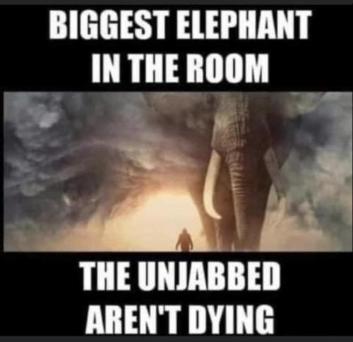 03:35:46 GMT-0800 (PST).image