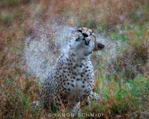 262902942_3049128615335042_8395537736748594399_n