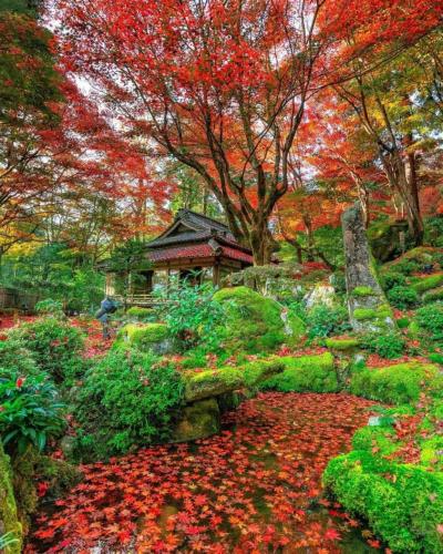 268797367_457452965750711_7293543973389385907_n