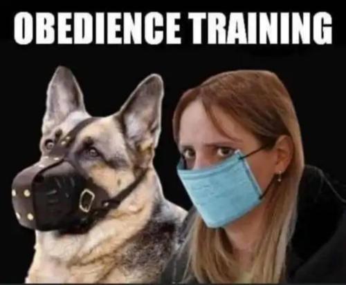 Screenshot_20211217-073753_MeWe