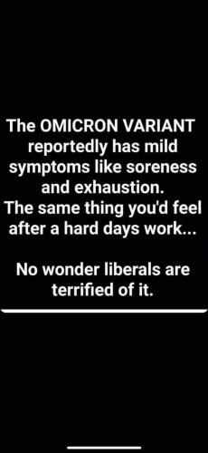 FB_IMG_1638494985293