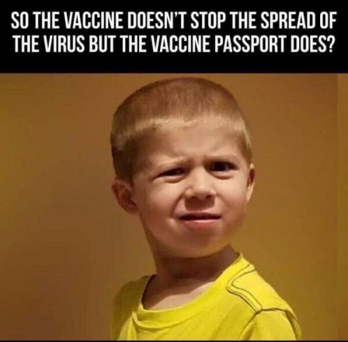 11b6f66993de66c8