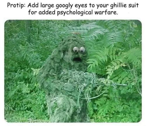 262392998_1100658257426146_3361375311788602309_n