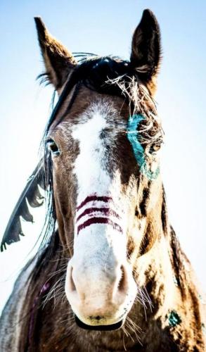 tumblr_80b5f61da2e7b54cc5ed7326522165ab_2819bb72_640