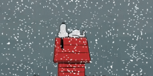 Snoopy in the snow