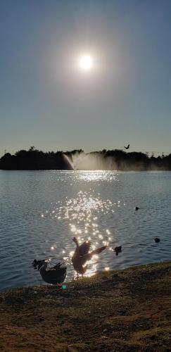 17:31:12 GMT-0600 (CST)