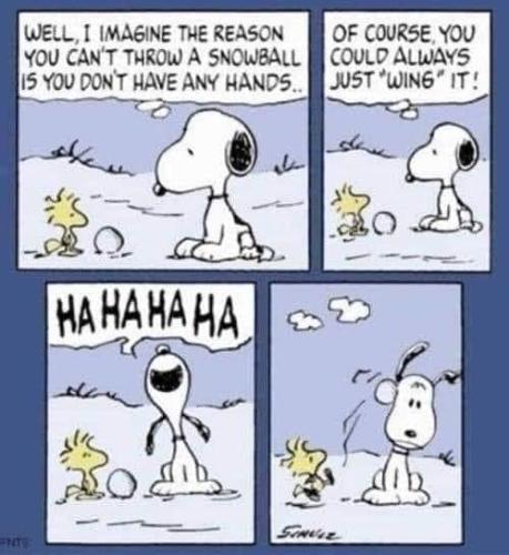 270062322_2574410816035773_7440706633333300966_n