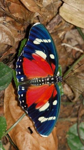 19:19:45 GMT-0600 (CST)