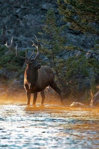 269795861_1728877757311567_5594749617829567129_n