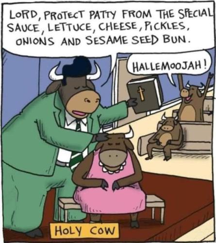 holy cow
