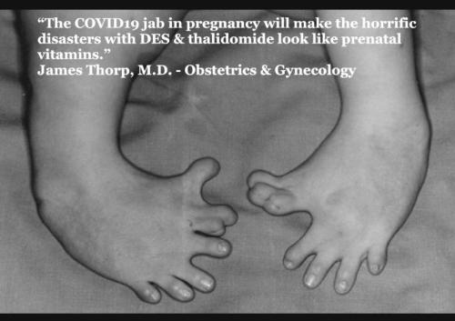 Screenshot_20211230-090211_Signal