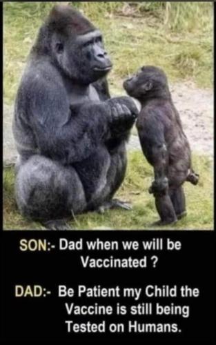 00:49:25 GMT-0600 (CST)