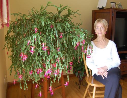 269895100_472103554489473_6149388308157164857_n