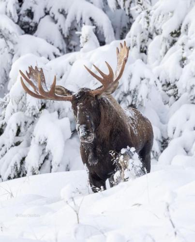 266503463_472879527549059_3952855995867183601_n