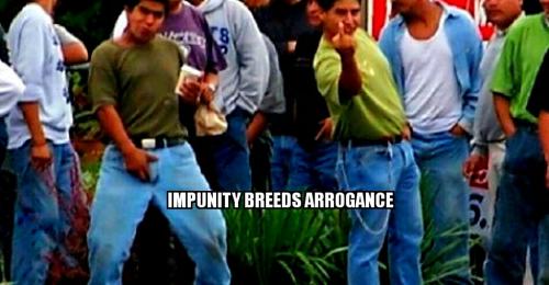 71654912_1852336501579876_5582877921913077760_n