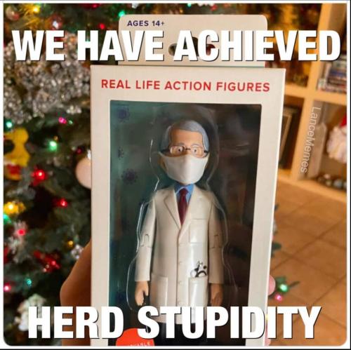 FB_IMG_1640638678163