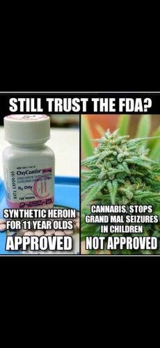 IMG_20211201_111327_180