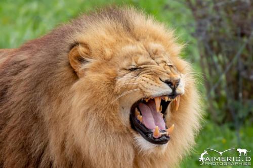 269663101_4586948271354653_317536734024335579_n